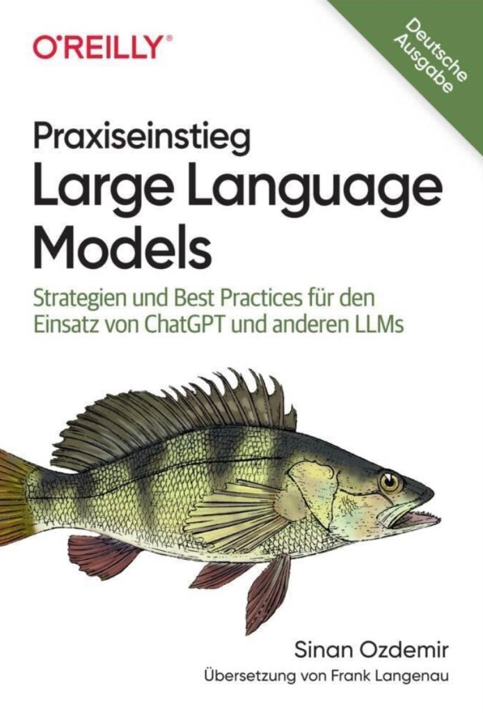 Buch Praxiseinstieg Large Language Modelle