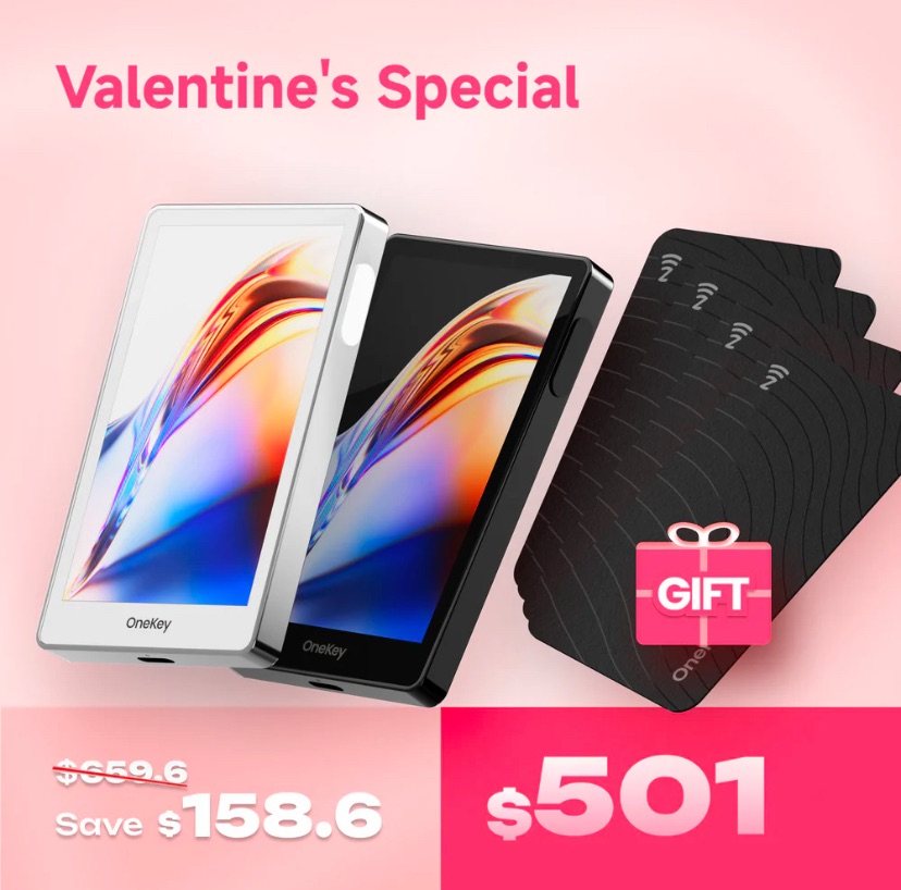 OneKey Pro Wallet Bundle kaufen