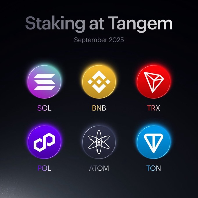 Welche Crypto Token kannst du mit der Tangem Wallet&nbsp;staken?